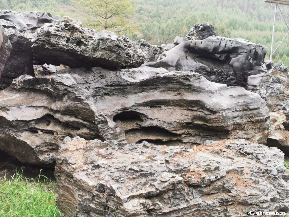 风景石、假山石大量有货，有需要的欢迎联系 - 新手上路 - 丽江生活社区 - 丽江28生活网 lj.28life.net