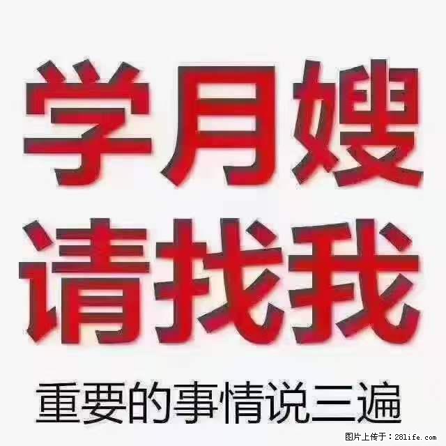 为什么要学习月嫂，育婴师？ - 新手上路 - 丽江生活社区 - 丽江28生活网 lj.28life.net