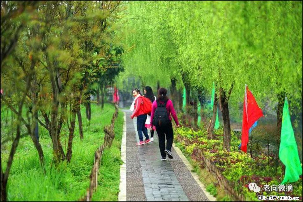 【春天，广西桂林灌阳县向您发出邀请！】江口老街又逢春 - 游山玩水 - 丽江生活社区 - 丽江28生活网 lj.28life.net