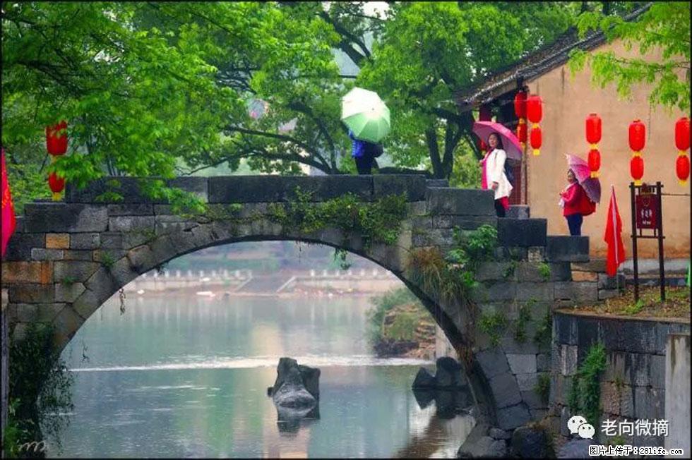 【春天，广西桂林灌阳县向您发出邀请！】江口老街又逢春 - 游山玩水 - 丽江生活社区 - 丽江28生活网 lj.28life.net