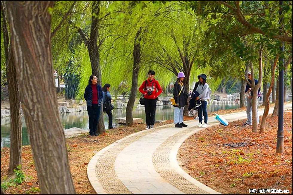 【春天，广西桂林灌阳县向您发出邀请！】江口老街又逢春 - 游山玩水 - 丽江生活社区 - 丽江28生活网 lj.28life.net