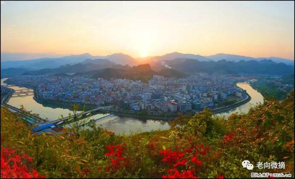 【春天,广西桂林灌阳县向您发出邀请!】登麒麟山,相约映山红 - 游山玩水 - 丽江生活社区 - 丽江28生活网 lj.28life.net
