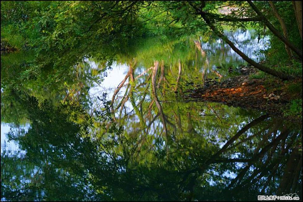 【春天，广西桂林灌阳县向您发出邀请！】熊家寨湿地公园 - 游山玩水 - 丽江生活社区 - 丽江28生活网 lj.28life.net