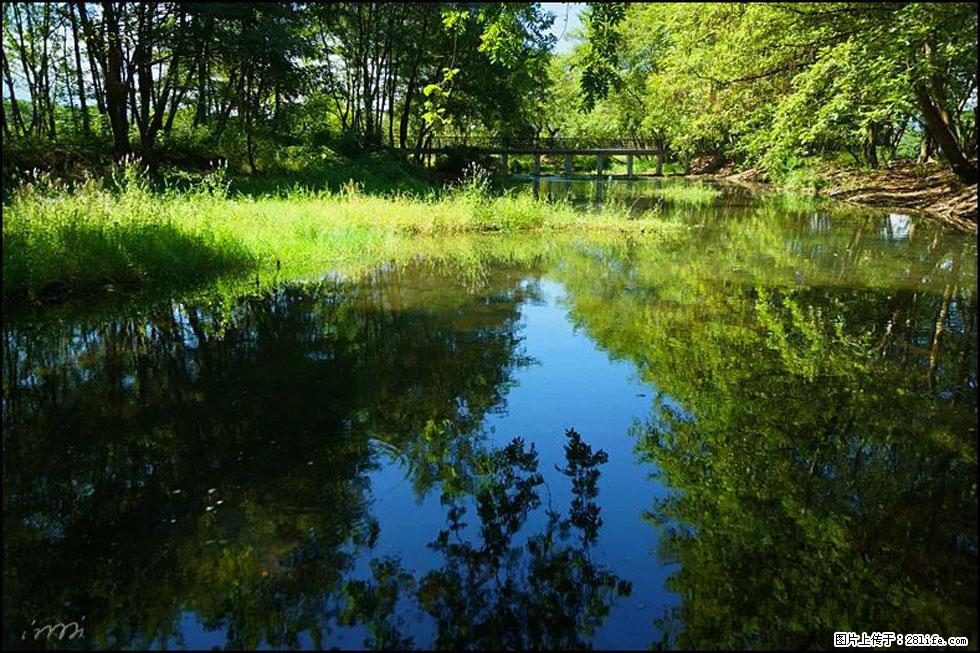 【春天，广西桂林灌阳县向您发出邀请！】熊家寨湿地公园 - 游山玩水 - 丽江生活社区 - 丽江28生活网 lj.28life.net