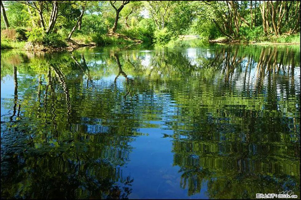 【春天，广西桂林灌阳县向您发出邀请！】熊家寨湿地公园 - 游山玩水 - 丽江生活社区 - 丽江28生活网 lj.28life.net