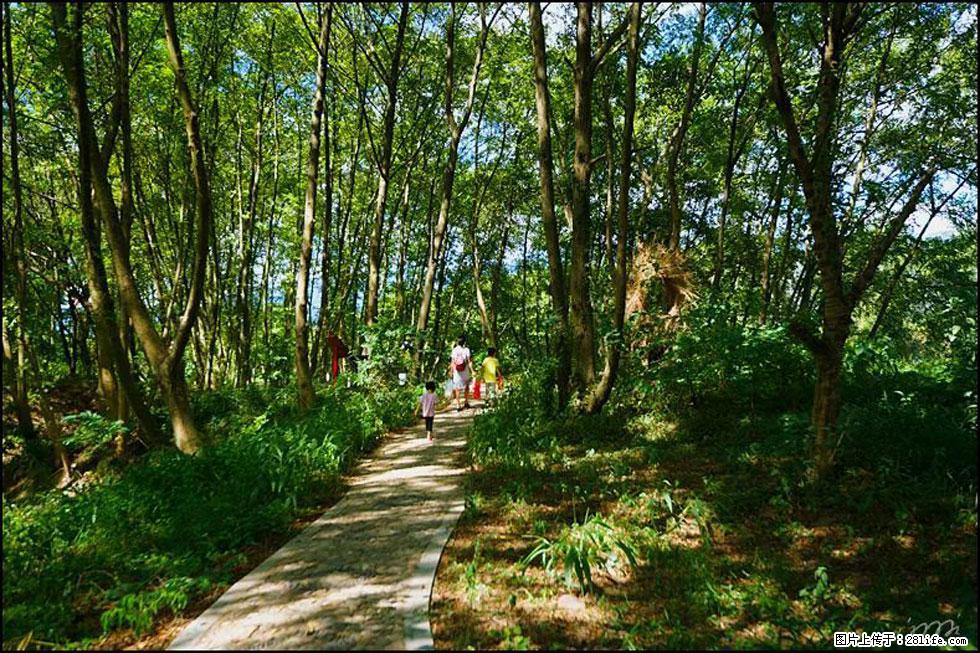 【春天，广西桂林灌阳县向您发出邀请！】熊家寨湿地公园 - 游山玩水 - 丽江生活社区 - 丽江28生活网 lj.28life.net