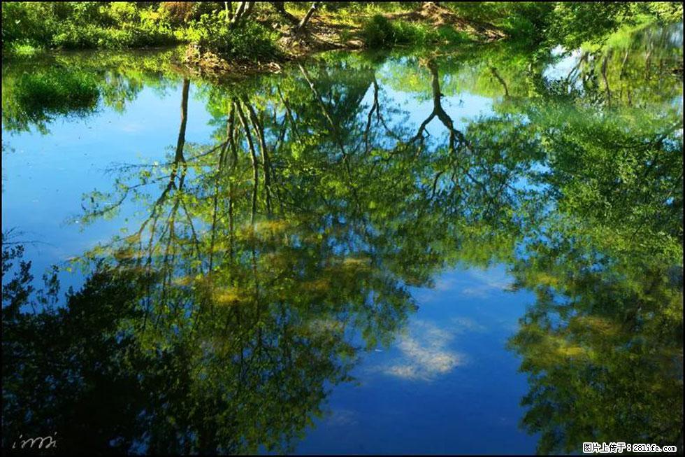 【春天，广西桂林灌阳县向您发出邀请！】熊家寨湿地公园 - 游山玩水 - 丽江生活社区 - 丽江28生活网 lj.28life.net