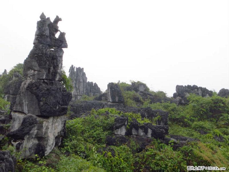 桂林旅游名城景点：灌阳文市石林 - 游山玩水 - 丽江生活社区 - 丽江28生活网 lj.28life.net
