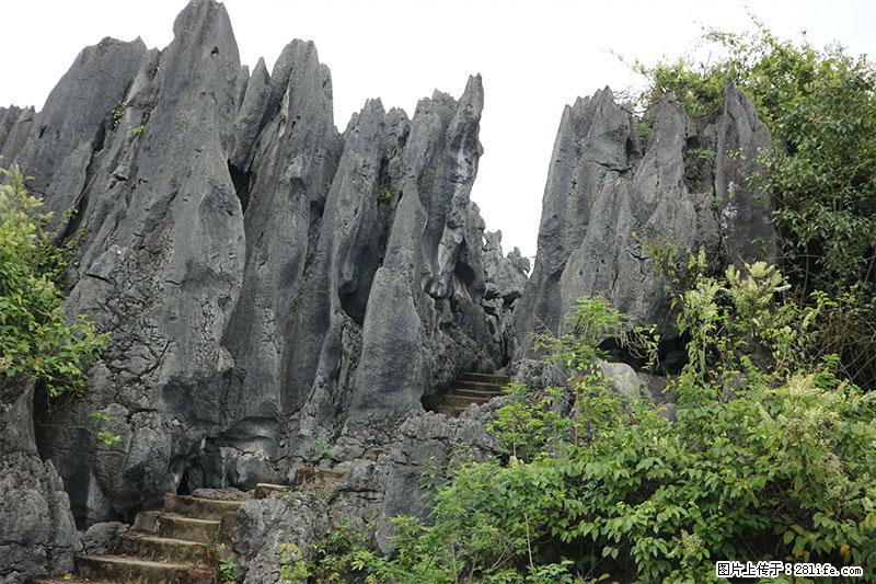 桂林旅游名城景点：灌阳文市石林 - 游山玩水 - 丽江生活社区 - 丽江28生活网 lj.28life.net