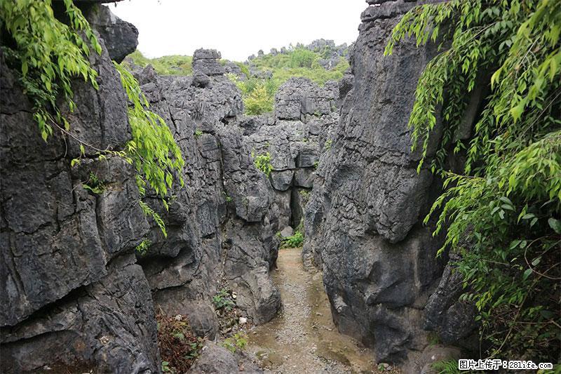 桂林旅游名城景点：灌阳文市石林 - 游山玩水 - 丽江生活社区 - 丽江28生活网 lj.28life.net