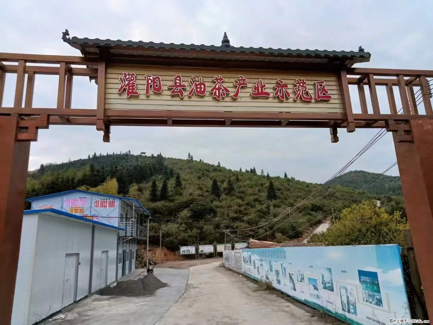 【灌阳县油茶产业示范区】一个有着充实的精神生活的人，对待身外之物自会有一种淡泊的态度 - 美食天地 - 丽江生活社区 - 丽江28生活网 lj.28life.net