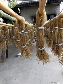 【灌阳正宗红薯粉】美女家里自己做的，干净卫生，假一赔十，价格合理，抢购电话：13737312895 - 丽江28生活网 lj.28life.net