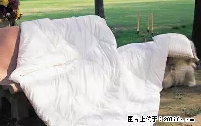被子有异味？只要这样做，比晒太阳还强100倍！ - 家居生活 - 丽江生活社区 - 丽江28生活网 lj.28life.net