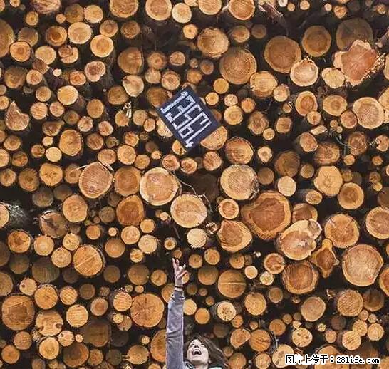 辞掉工作周游世界？现在他们在洗厕所…… - 游山玩水 - 丽江生活社区 - 丽江28生活网 lj.28life.net