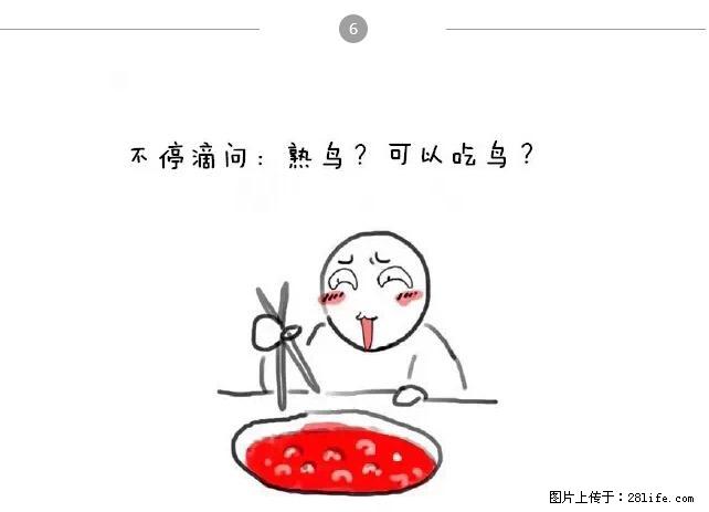 千万不要和这9种哈卵一起吃火锅！ - 美食天地 - 丽江生活社区 - 丽江28生活网 lj.28life.net