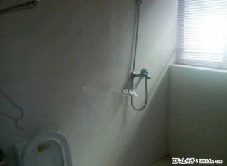 民主路上锦天国际 3室2厅1卫出租，带家具家电，拎包入住 - 丽江28生活网 lj.28life.net