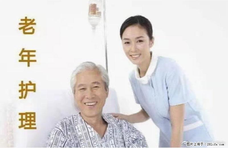 上海国企养老院，星级酒店环境，招聘养老护工 - 职场交流 - 丽江生活社区 - 丽江28生活网 lj.28life.net