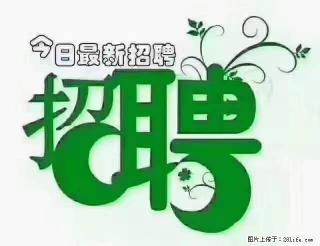 【招聘摄像师】待遇：试用期6000元/月，转正7000元/月+五险一金+餐补+节日福利+奖金 - 丽江28生活网 lj.28life.net