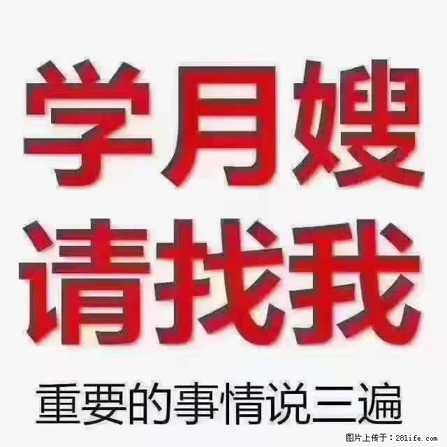 【招聘】月嫂，上海徐汇区 - 职场交流 - 丽江生活社区 - 丽江28生活网 lj.28life.net
