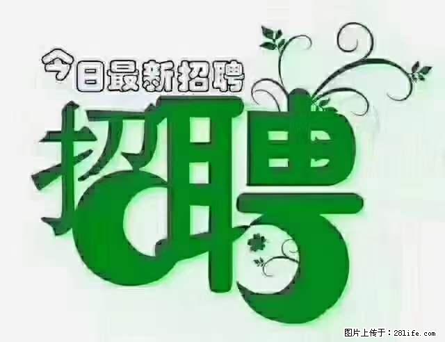 上海青浦区招仓管 - 职场交流 - 丽江生活社区 - 丽江28生活网 lj.28life.net