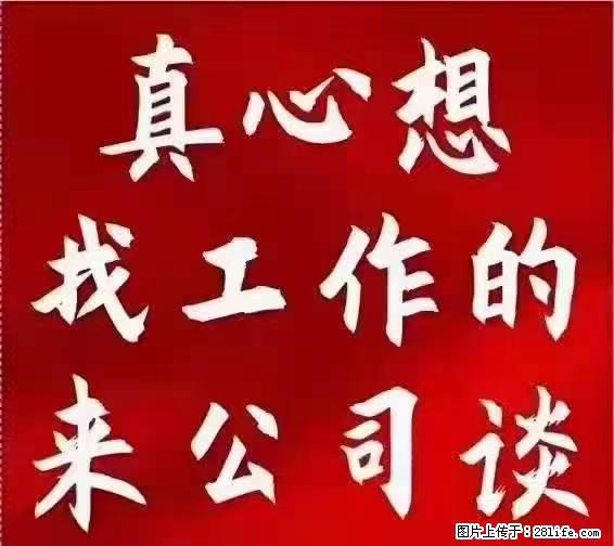 【上海】国企，医院招两名男保安，55岁以下，身高1.7米以上，无犯罪记录不良嗜好 - 职场交流 - 丽江生活社区 - 丽江28生活网 lj.28life.net
