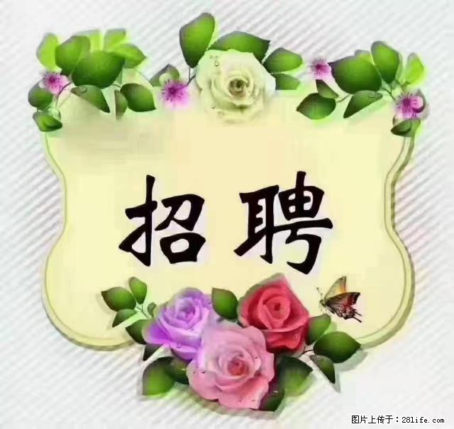【招聘】住家育儿嫂，上户日期：4月4日，工作地址：上海 黄浦区 - 职场交流 - 丽江生活社区 - 丽江28生活网 lj.28life.net