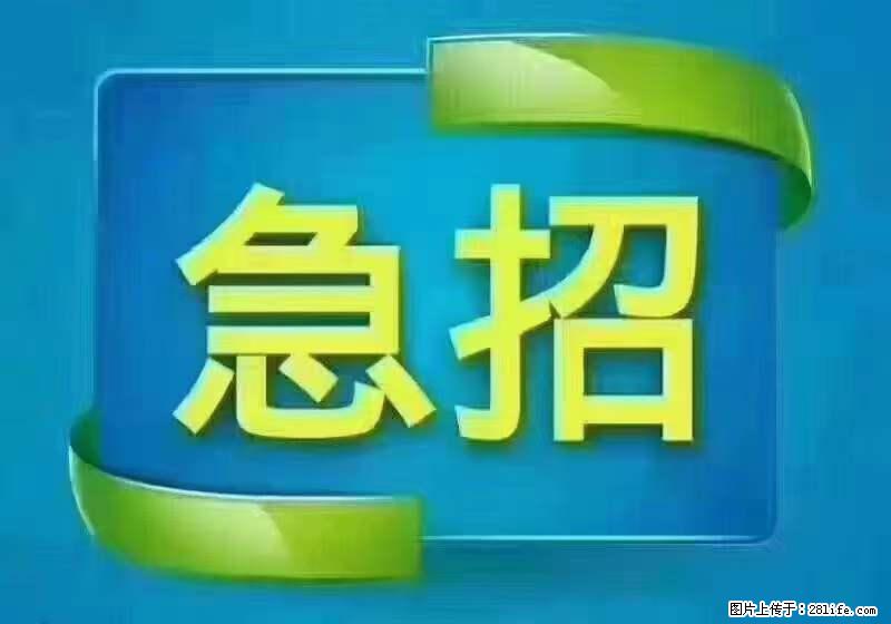 招出纳8000元/月，无证可以，要有相关经验，上海五险一金，包住，包工作餐，做六休一。 - 职场交流 - 丽江生活社区 - 丽江28生活网 lj.28life.net