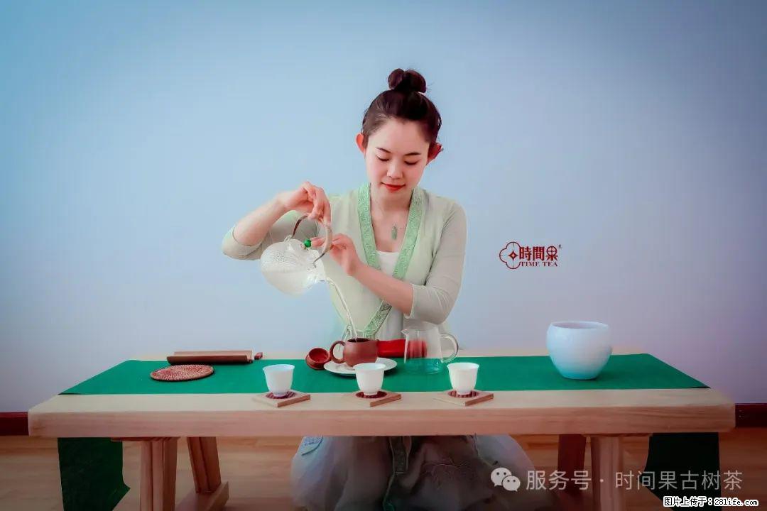 时间果百年古树龙珠普洱生茶 - 购物交流 - 丽江生活社区 - 丽江28生活网 lj.28life.net