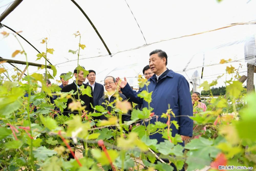 习近平赴广西考察调研 - 丽江生活资讯 - 丽江28生活网 lj.28life.net