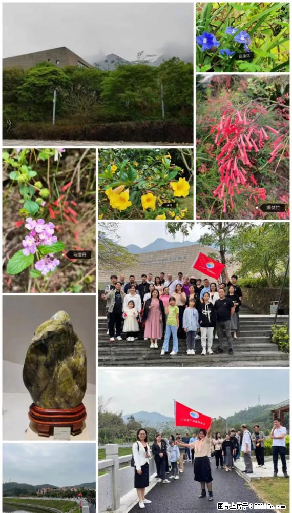 “粤灌文化 美好生活”油茶文化主题活动在广东深圳成功举办 - 丽江生活资讯 - 丽江28生活网 lj.28life.net