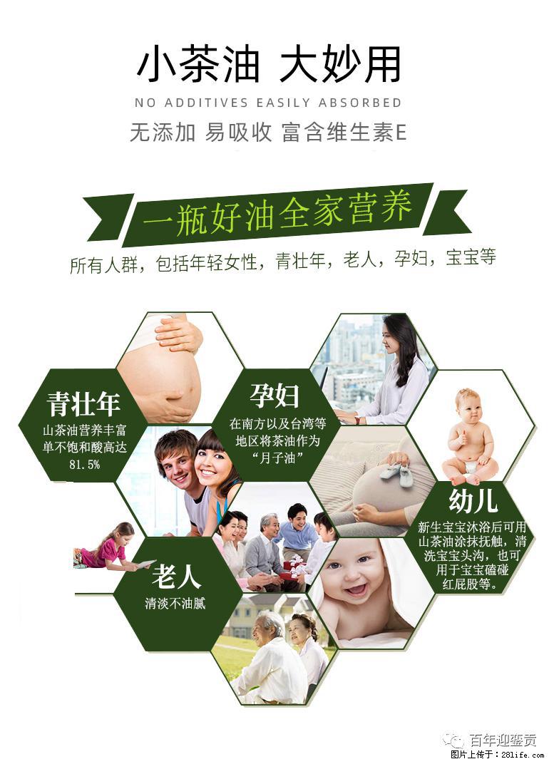 世界没有真相，只有认知，最好的食用油是中国的山茶油！ - 丽江生活资讯 - 丽江28生活网 lj.28life.net