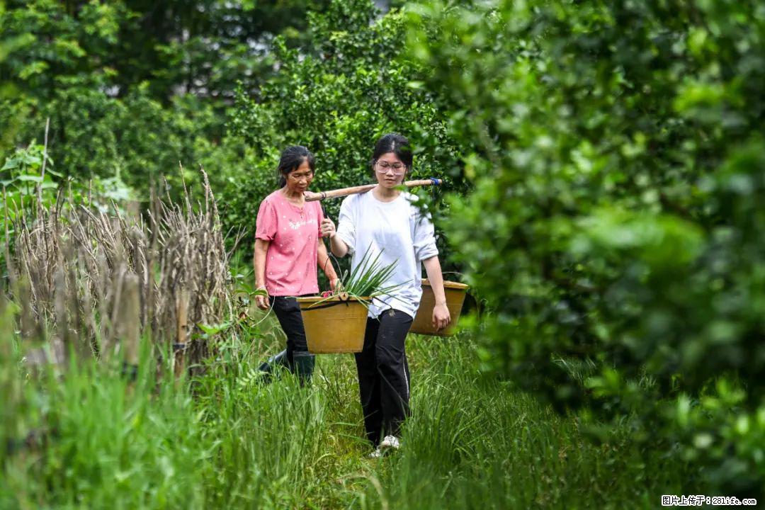 全网追的“扁担女孩”，找了一份暑假工，时薪12元 - 丽江生活资讯 - 丽江28生活网 lj.28life.net