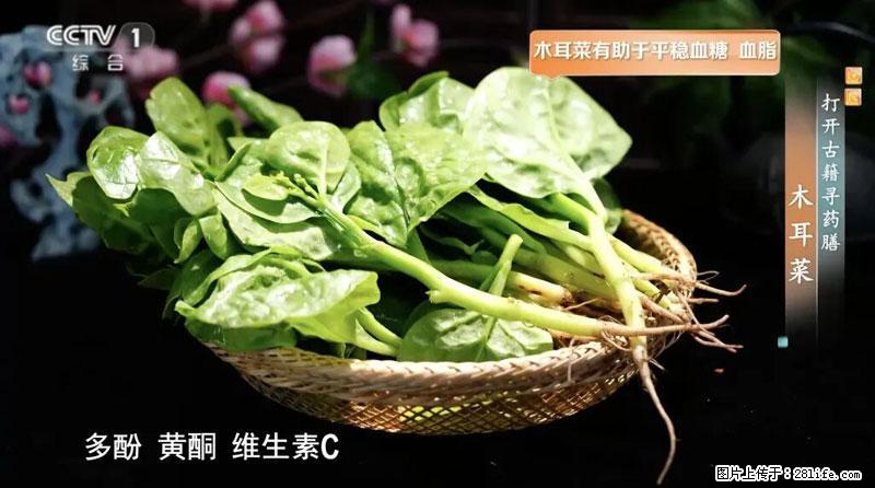 比牛奶补钙还厉害！凉血解毒、稳血糖...这菜冬天必吃，很多人却当草 - 丽江生活资讯 - 丽江28生活网 lj.28life.net
