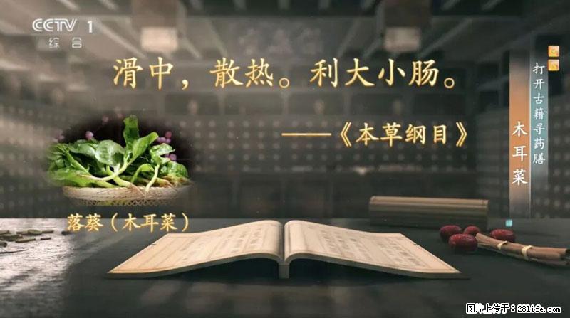 比牛奶补钙还厉害！凉血解毒、稳血糖...这菜冬天必吃，很多人却当草 - 丽江生活资讯 - 丽江28生活网 lj.28life.net