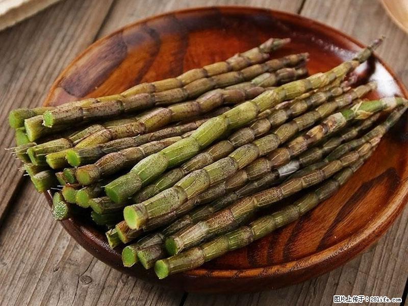 铁皮石斛的作用与功能主治 - 丽江生活资讯 - 丽江28生活网 lj.28life.net
