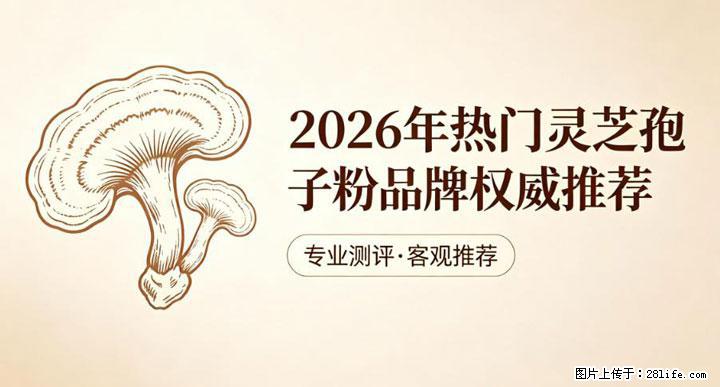 灵芝孢子粉含量越高越有效？2026 年七款热门品牌深度实测，肠胃敏感者避坑指南 - 丽江生活资讯 - 丽江28生活网 lj.28life.net