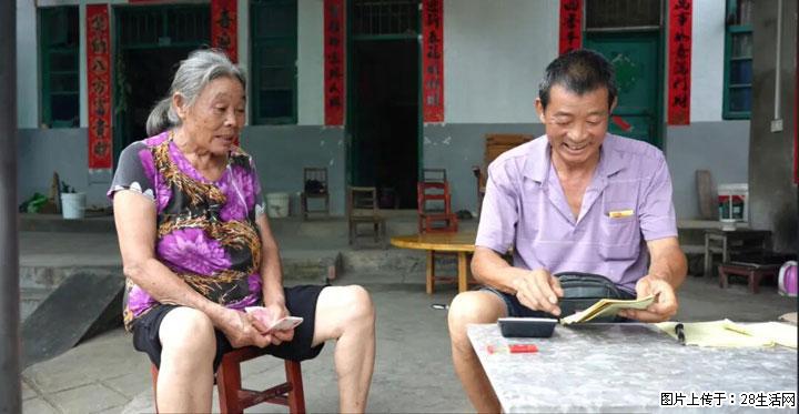 【乡村振兴】文市蜂糖李、黄金奈李迎丰产上市季 甜蜜产业助振兴 - 丽江生活资讯 - 丽江28生活网 lj.28life.net